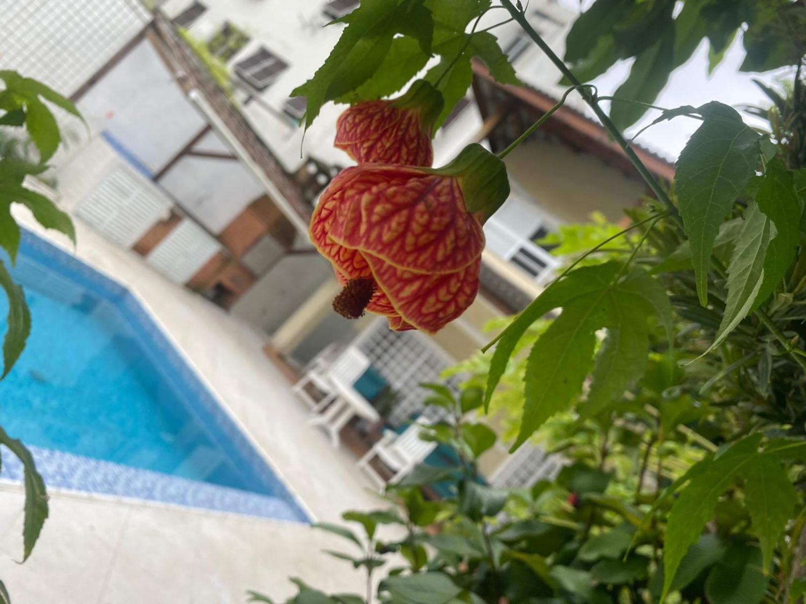 Pousada Do Tio Cido Guarujá Esterno foto